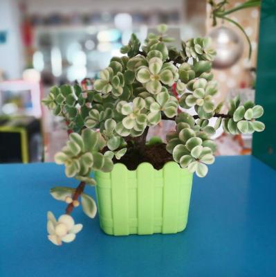 China Different Types Not Easy Broken Cheap Price Flower Pots Silicone Plant Pots For Decoration for sale