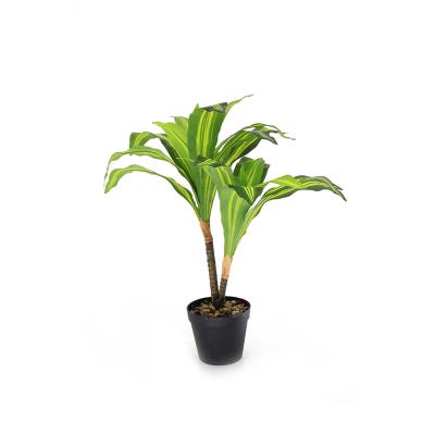 China Amazon Hotsales 70CM Soft High Quality Artificial Dracaena Fragrans Accessories Artificial Plants for sale