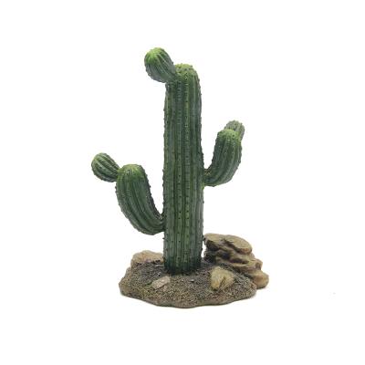 China Other High Quality 24CM Cactus Plants Reptile Decoration Mini Greenhouse Decoration Reptile Supplies for sale