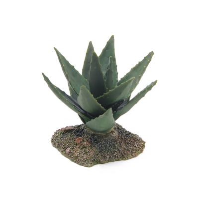 China Other High Quality 12CM Cactus Plants Reptile Decoration Mini Greenhouse Decoration Reptile Supplies for sale