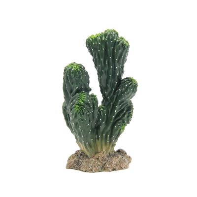 China Other High Quality 20CM Cactus Plants Reptile Greenhouse Mini Greenhouse Decoration Reptile Supplies for sale