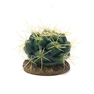 China The Other 12CM Cactus Plants Mini Greenhouse Reptile Decoration Monster Bone Aquarium Decoration Fish Tank for sale