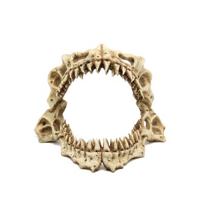 China Other Trading Custom-made Teeth Model Cave Skull Decorations Mini Greenhouse Reptile Fossil Ornaments for sale