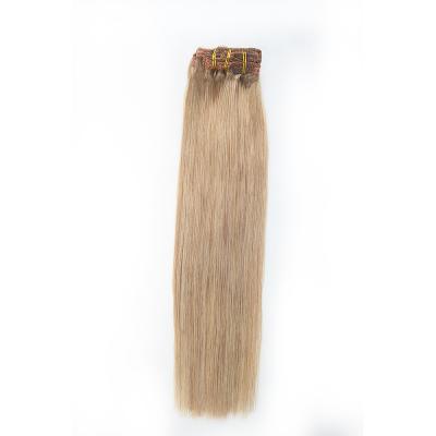 China Tangle Free Hair Aligned Wave Style Piece Wholesale Brown Temple Clip In Hair Extension for sale