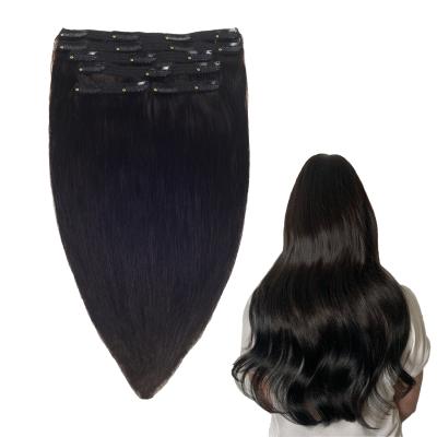 China Popular Indian Remy Hair CURVY STRAIGHT Style Seamless Clip In Hair Extensions Natural Hairline for sale