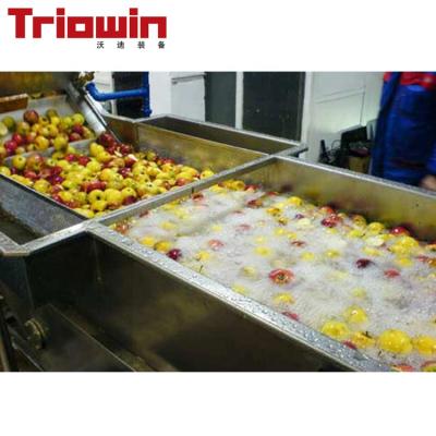 China Factory Industrial Apple Juice Sorter Processing Line for sale