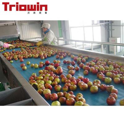 China High Efficiency Easy Operate 3TPH -10TPH Concentrated Apple Juice Processing Plant for sale