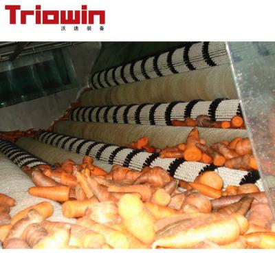 China High Efficiency Easy Operate Small Scale Industrial Fruit Food Carrot Beverage Processing Equipment Machinery for sale