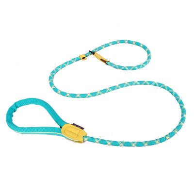 China Personalized Long Soft Padded Pet Lead Stylish Shiny Polyester Pet Training Products Walking Leash for sale