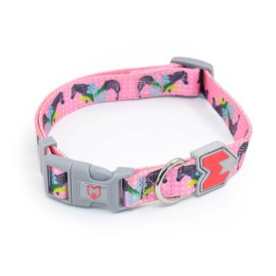 China Designers POM Style Nylon Dog Collars Training Buckle Tropical Adjustable Plastic DETACHED Pet Collar for sale