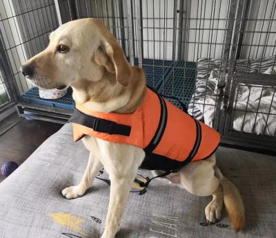 China New HOT Selling Pet Life Vest Swimming Suit Summer Outdoor Clothes Viable Pet Safe Swimwear for sale