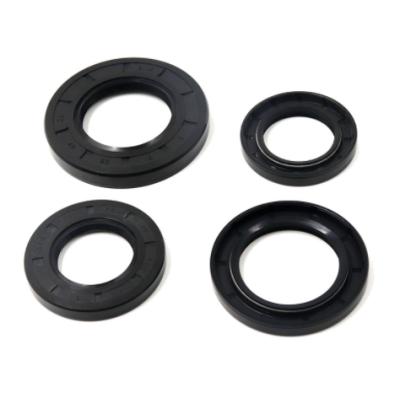 China mechanical hardware fkm epdm nbr nbr oil rubber seal ring spring seal double for sale