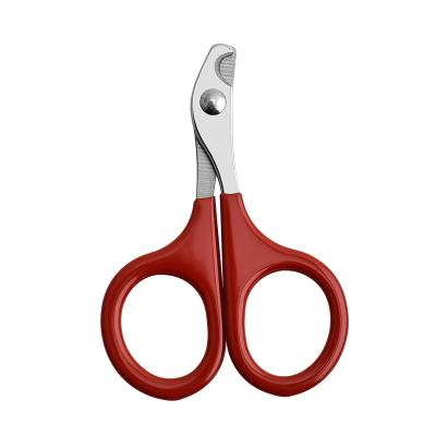 China Professional Stocked Pet Grooming Scissors Dog Nail Clipper Pet Cleaning Scissors for sale