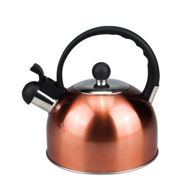 China 2.5L Stainless Steel Whistling Kettle Sustainable Tea Kettle With Nylon Handle for sale