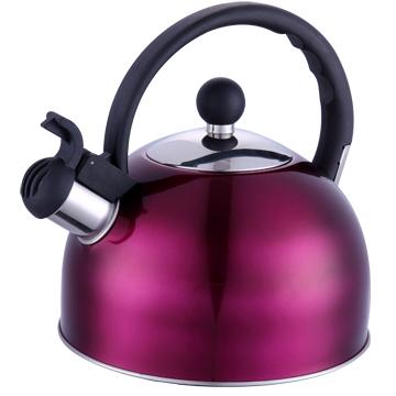 China Sustainable 2.5L Colored Stainless Steel Whistling Kettle Tea Kettle With Nylon Handle for sale