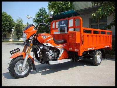 China A gasolina três roda a motocicleta da carga/freio de cilindro motorizado de Trike da carga à venda