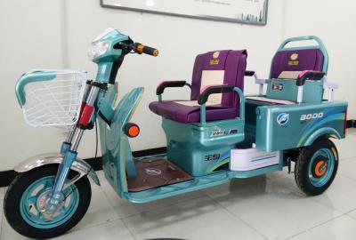 Cina Il carraio di cinese 3 con due Seat, tre spinge la bici elettrica 800W del carico in vendita