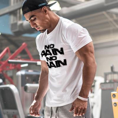 China Cheap Wholesale High Quality Anti-Shrink Cotton Sports Gym Men's Fitness Running Quick Dry T-shirt Men's Gym Sport T-shirt for sale