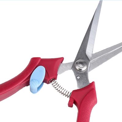 China Eco - Friendly Garden Flower Shear Pruning Tools Professional Hand Pruner for sale