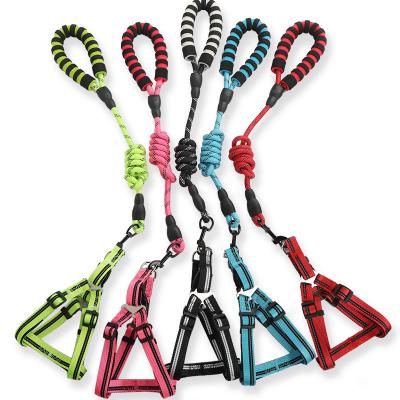 China Amazon Sales Dog Pet Products Rope Dog Leash Strong Stocked Rope With Comfortable Handle for sale