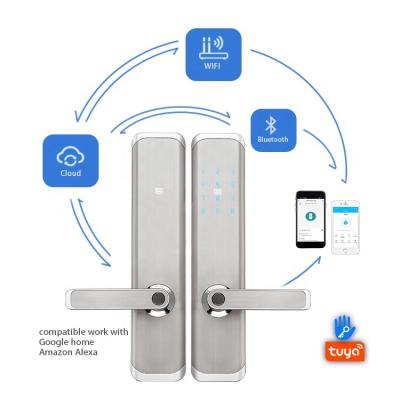 China Safe Electronic Biometric Smartlock TT Door Lock Fingerprint Door Lock Deadbolt Home Office Hotel Apartments Lock Opened for sale