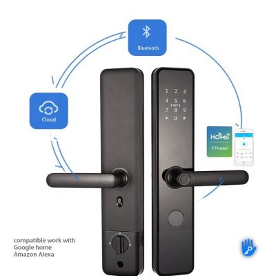 China Home hotel apartments office tuya door smart front outdoor smart lock security biometric fingerprint lock TTT APP management for sale