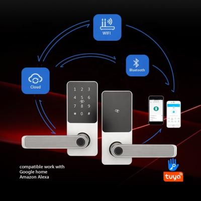 China TTlock Silver Home Office Apartments Hotel Door Lock Fingerprint Key Fingerprint Smart Locks Handle Free for sale