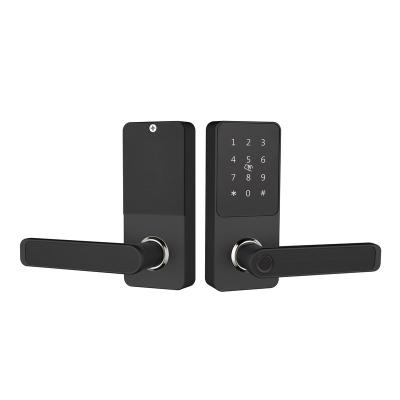 China Serrure Fechadura Digital Smart Lock Front Door Hotel Apartments Home Office Smart Lock Fingerprint Keyless Door for sale