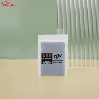 China 9 x 13 cm BIODEGRADABLE Wholesale Custom PLA Logo Plastic Packaging Biodegradable Frosted Ziplock Bags Bag for sale