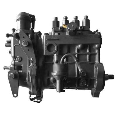 China Automotive industry fuel injection pump 1C061-AG1253 diesel engine fuel pump for V3800 for sale