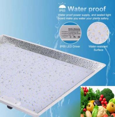 China Seed Starting Braysle Grow Light Panel 3000watt Grow Light Full Spectrum Hydroponic Led Plant For Indoor Plants Flower for sale