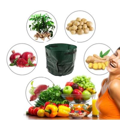 China PE UV Potato Braysle Resistance Plant Seedling Vegetable Raise Grow Bag For Garden Plant Grow Barrel Grow Bag for sale