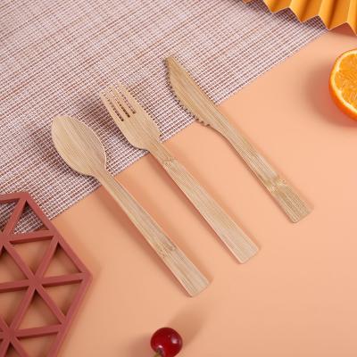 China Simplicity Disposable Biodegradable Bamboo Spoon Disposable Wooden Spoons Forks and Knife for sale