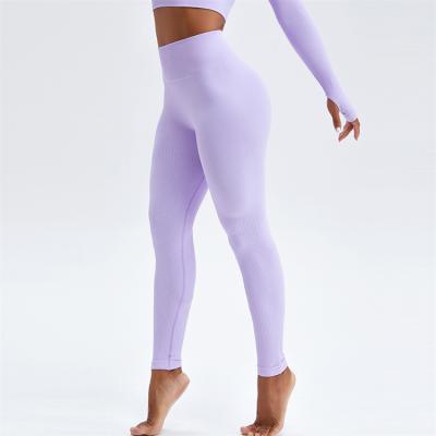 China Fitness Women Waist Yoga Lifting Seamless Pants Skin-friendly/Slim Fit/New Breathable Ribbed Hip High Yoga Pants for sale