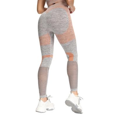 China Hollow Out/AB Yarn/Slim Fit Newcomers Orange Hip Lift Pants Slim AB Chat Seamless Yoga Suit Gym Sport Yoga Hollow Out Panties for sale