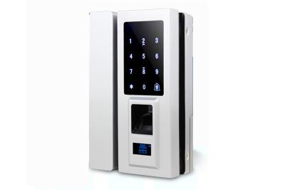 China Zinc Alloy  Biometric Fingerprint Scanner Door Lock Can Install On Wooden Door for sale