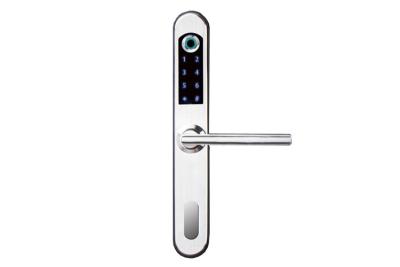 China Bridge Cut  Smart Digital Door Lock Aluminum Alloy 304 Stainless Steel Fingerprint Keypad for sale