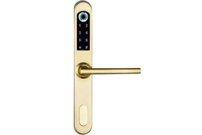 China Smart WIFI Digital Door Lock  , Biometric Fingerprint Door Lock  by Fingerprint Semi Coductor Sensor for sale