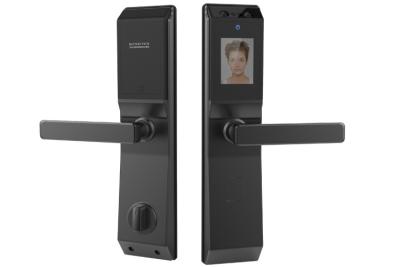 China Zinc Alloy Face Recognition Based Door Lock System  Residential Commercial for sale