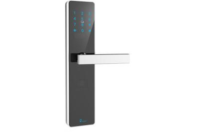 China TCP/IP Lora Wifi Security Door Lock , Apartment Front Door wifi keyless deadbolt lock for sale