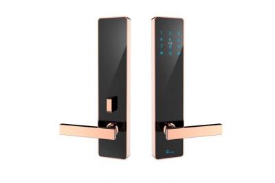 China Smart  Wifi Remote Door Lock Bluetooth IC Card Unlock Android IOS Mobile Control for sale