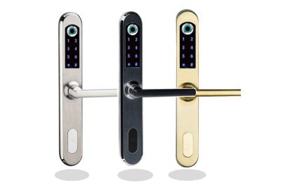 China Automatic Glass Door Fingerprint Lock , RFID Card   Aluminum Sliding  Finger Scan Door Lock for sale