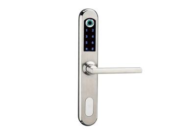 China Office Hotel Biometric Lock For Glass Door Aluminum Frame Sliding  Pull for sale