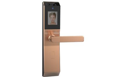 China Digital Face Recognition Door Access System LCD With Voice Prompt High Security for sale