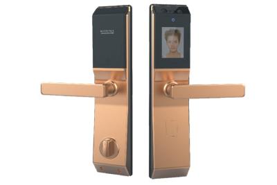 China Palm Face Recognition Door Lock System IC Card Password Supply FC CE Approved for sale