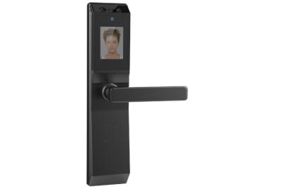 China Unlocking Facial Recognition Door Lock ,  Biometric Door Access Control System for sale