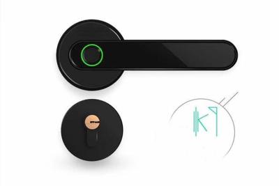 China Smart Split Fingerprint Digital Lock For Room Wooden Door Fashion for sale