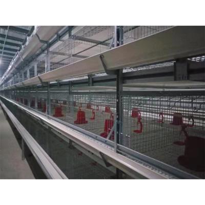 China Special Farms Factory Wholesale Price Chiken House Layer Farm Poultry Breeding Cages for sale