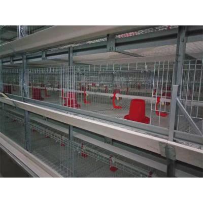 China Farms Grade Cheap Chicken House Layer Used Special Farm Poultry Breeding Cages for sale