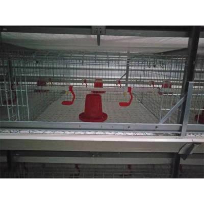 China Cultivates 2021 new chicken layer farm poultry breeding special cages for sale for sale